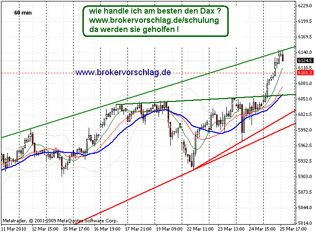 fdax-25-3-2010-d.gif