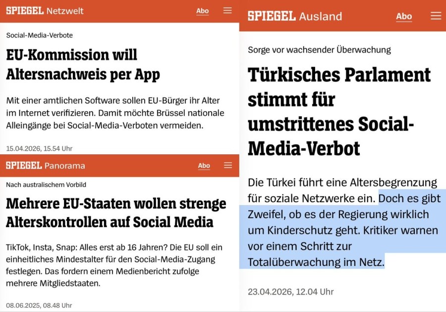 E-ID Spiegel.jpg