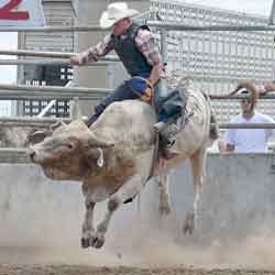 BullRide08.jpg